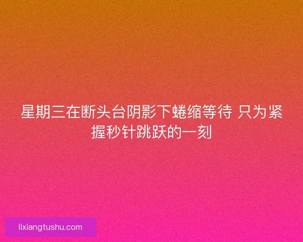 星期三在断头台阴影下蜷缩等待 只为紧握秒针跳跃的一刻